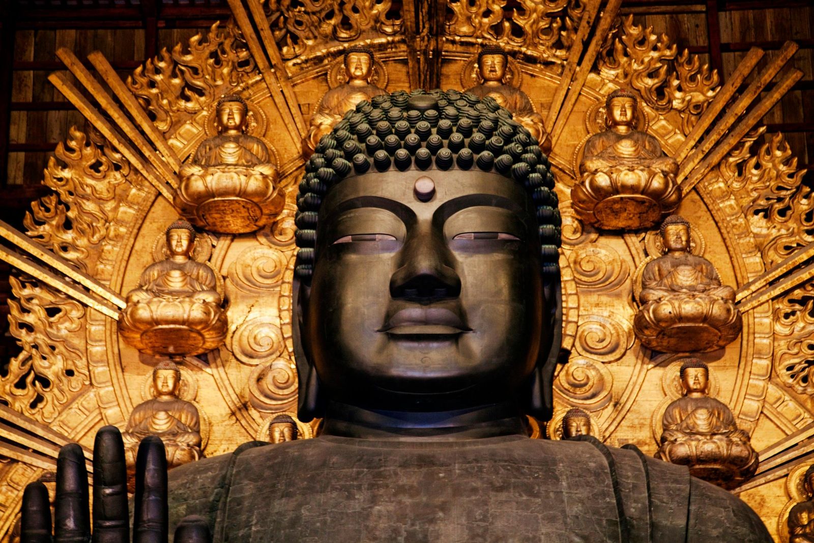 A Buddha in Japan Is Missing Half of Its Curls | Smart News| Smithsonian  Magazine