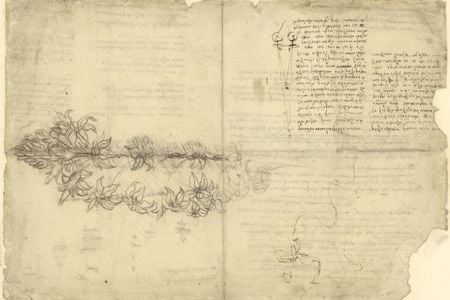 A section from Leonardo da Vinci&#39;s Codex Atlanticus titled &quot;Floral composition, views on the usefulness of glasses&quot;