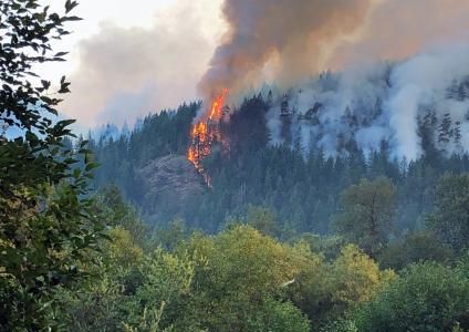 The Maple Fire photographed burning up Jefferson Ridge in Olympic National Forest, Washington. In court documents, prosecutors alleged that men convicted of illegal logging in the National Forest may have started the Maple Fire.