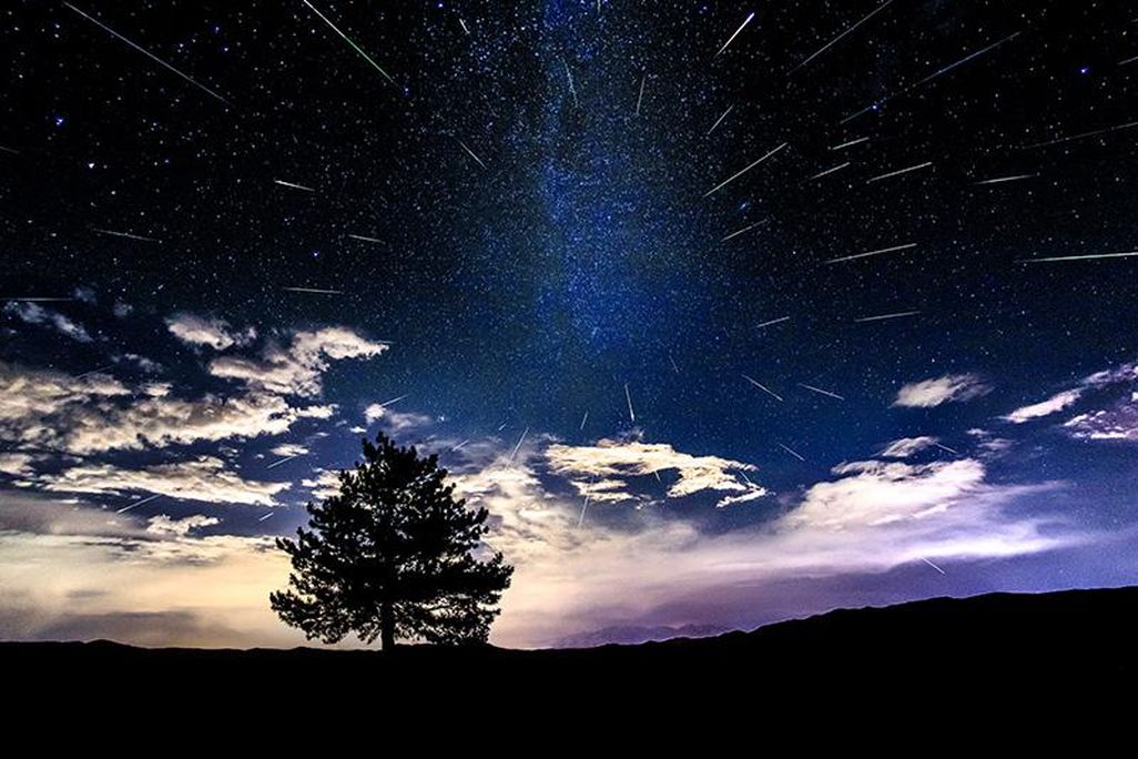 Perseids