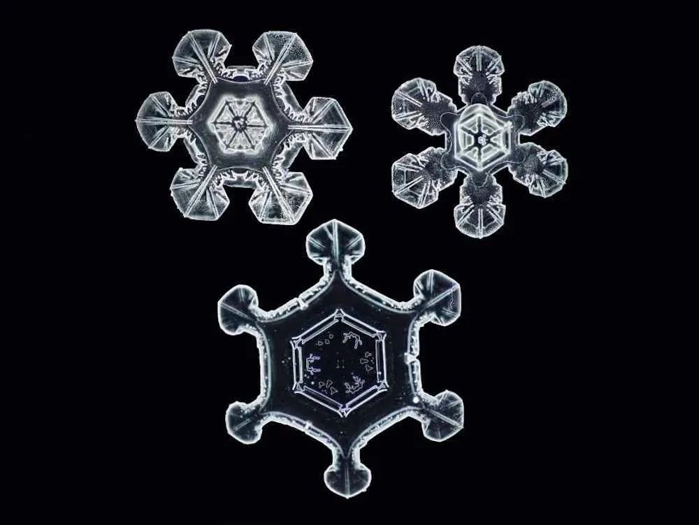 These Are the Highest-Resolution Photos Ever Taken of Snowflakes, Innovation