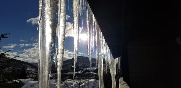 Sun & Icicles Playing Nicely Together In The Snow. thumbnail