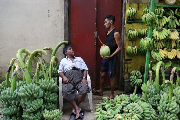 Fruit shop thumbnail