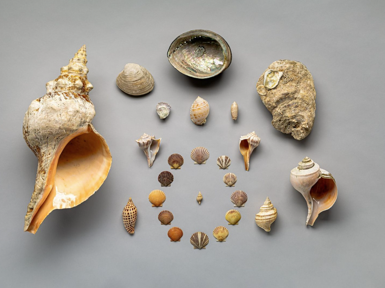 New Smithsonian Exhibition to Showcase Objects From All 50 States
