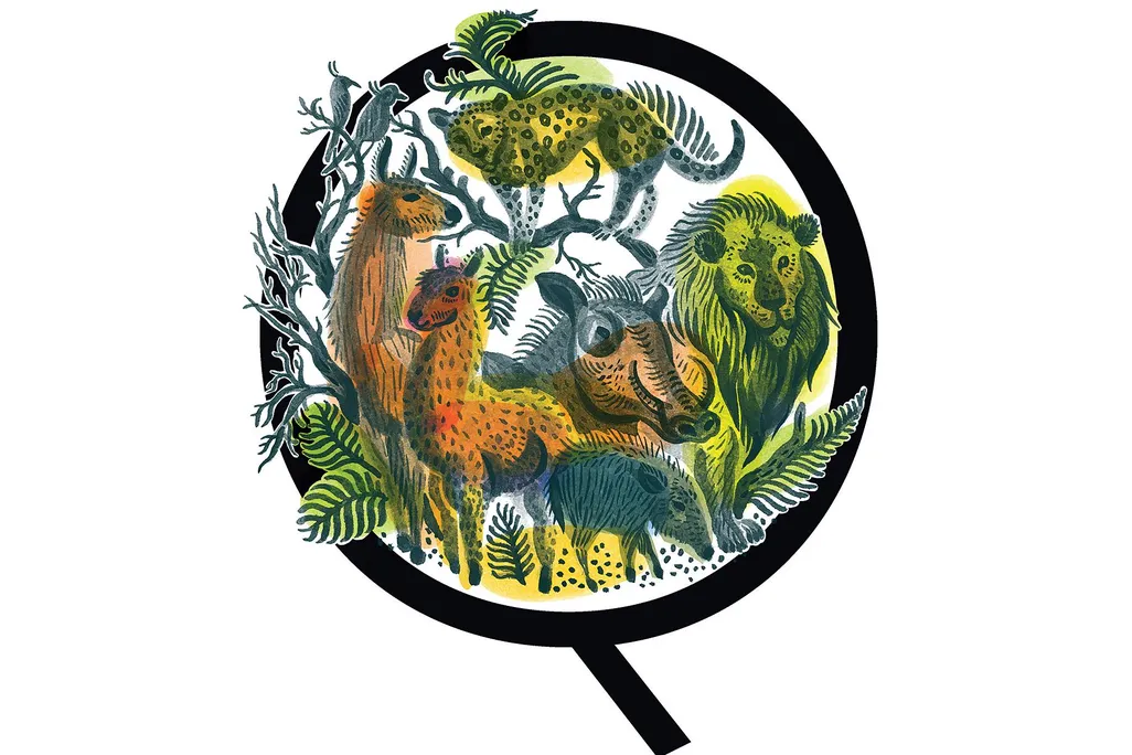 Illustration of smaller animals