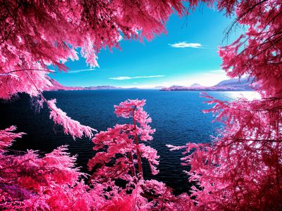Zak van Biljon photographed Kennedy Lake in British Columbia using infrared film.