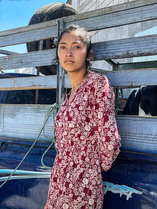 Girl At Animal Market Selling Family Cows thumbnail