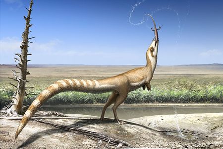 Reconstructed color patterns of Sinosauropteryx based on the pigmentation of fossil plumage. The dinosaur is portrayed in the predicted open habitat in which it lived around the Jehol lakes, preying on the lizard Dalinghosaurus.