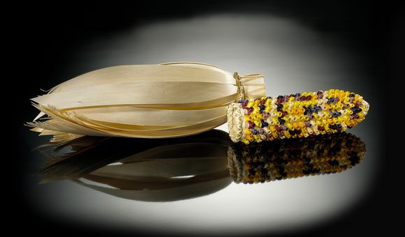 Theresa Secord (Penobscot, b. 1958). Ear of corn basket, 2003. Maine. 26/1694. By looking at  Thanksgiving in the context of living cultures, we can make the holiday a more meaningful part of teaching and learning, in school and at home.
