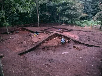 Viking burial mound at Heath Wood being excavated
