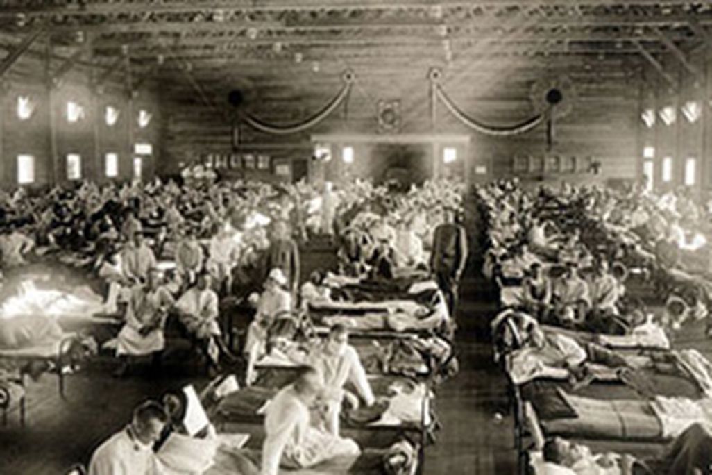 Flu pandemic