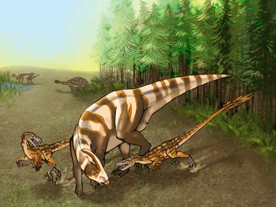 Saurornitholestes sullivani attacks a subadult hadrosaur Parasaurolophus tubicen 