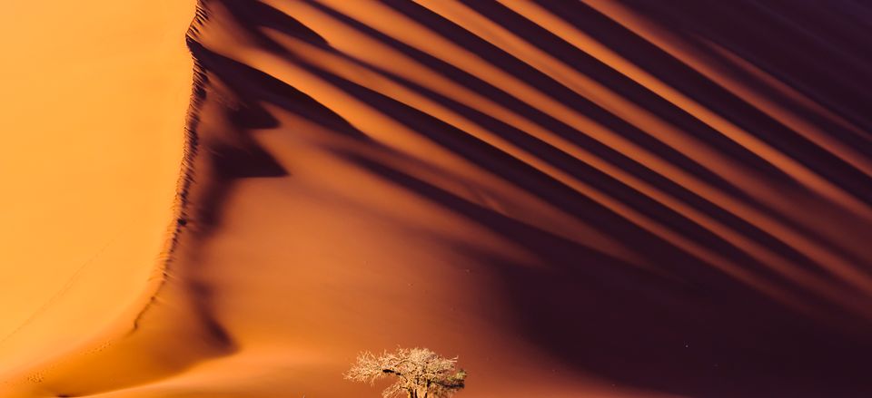  Sand dunes, Namibia 