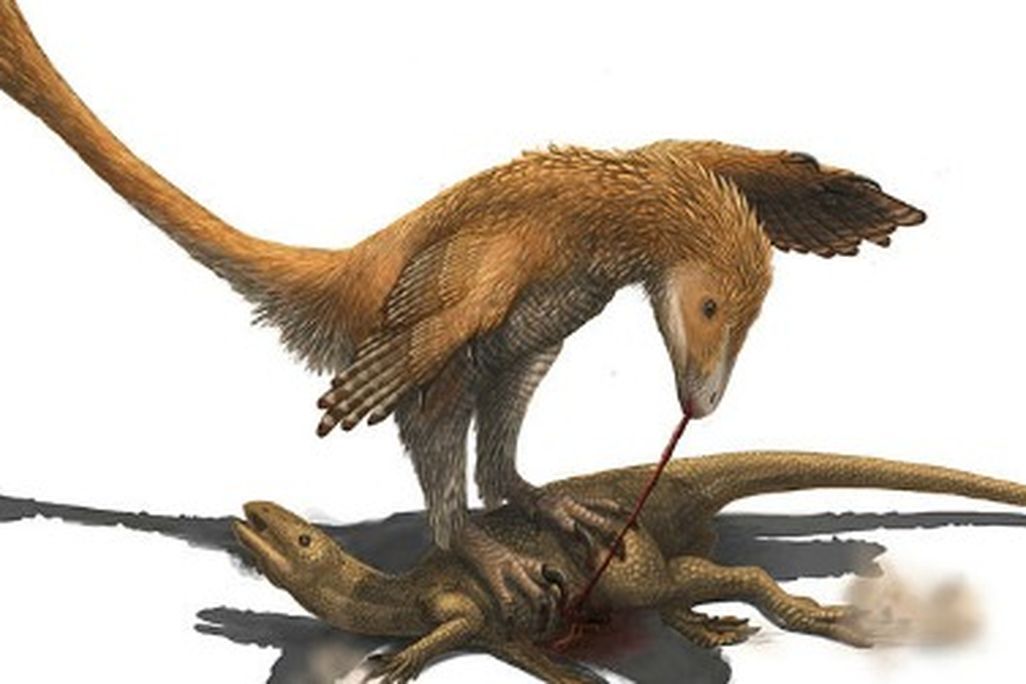 Did Deinonychus and other “raptors” use their foot claws to restrain prey?