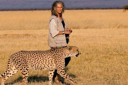 American Laurie Marker (with Chewbaaka, a cat she raised after it was caught in a trap as a 3-week-old) is the world's expert on cheetahs.