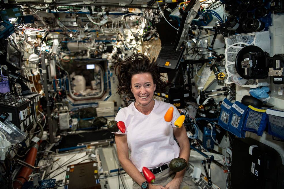 NASA Astronaut Megan McArthur floats aboard the International Space Station with fresh vegetables grown on the research labratory