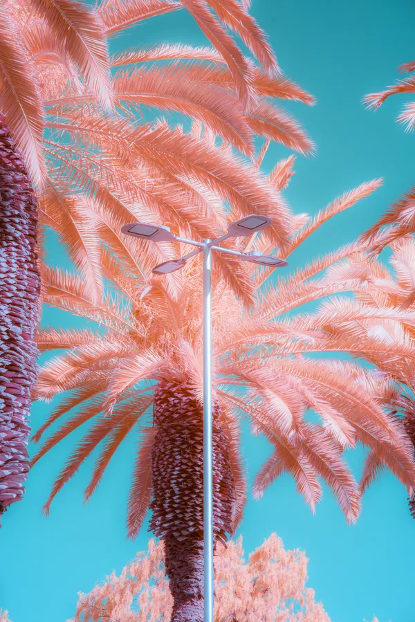 Pink Glow City thumbnail