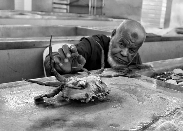 The Fish Seller's Pastime thumbnail