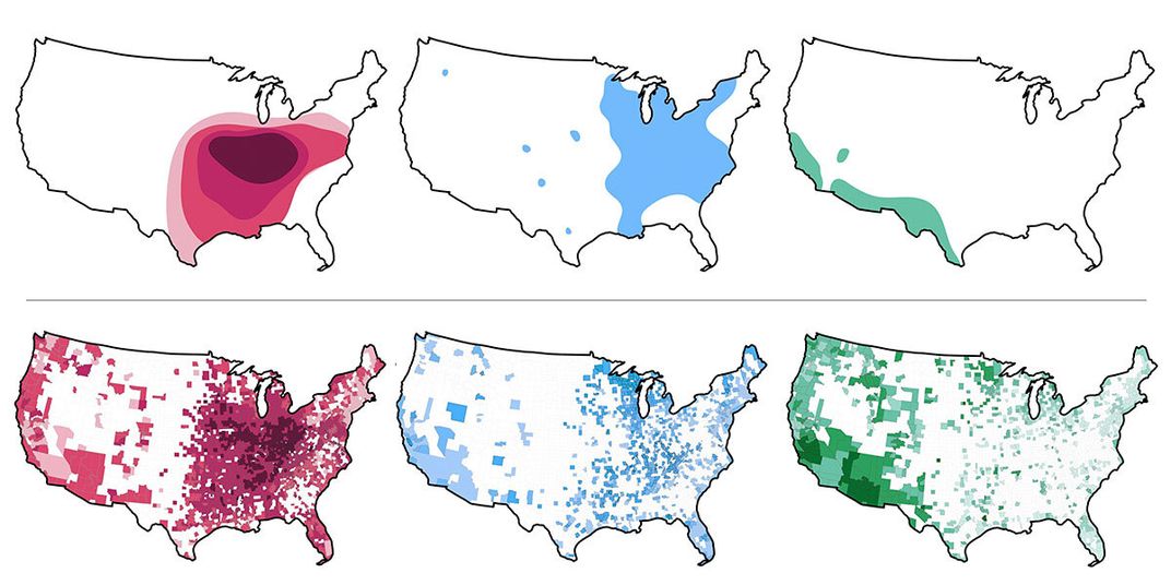 Maps of fungi