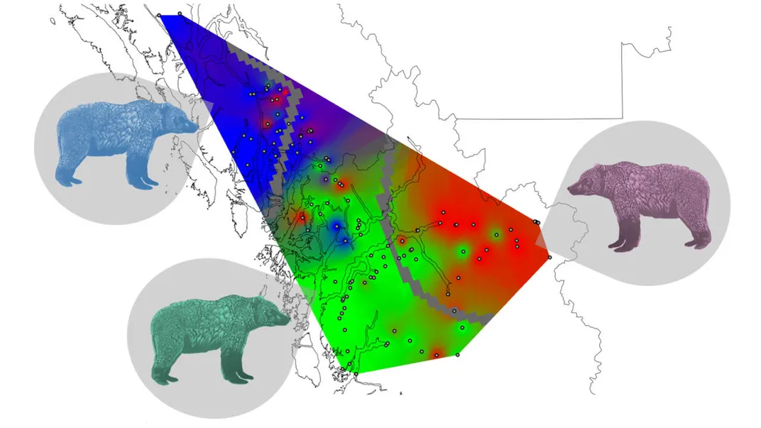 Map of bear territory and First Nations languages