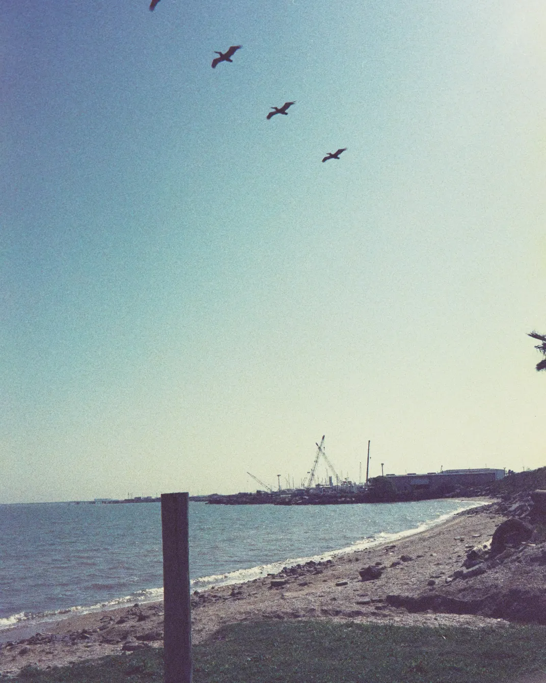 The shoreline of West Galveston Bay near Channelview Drive