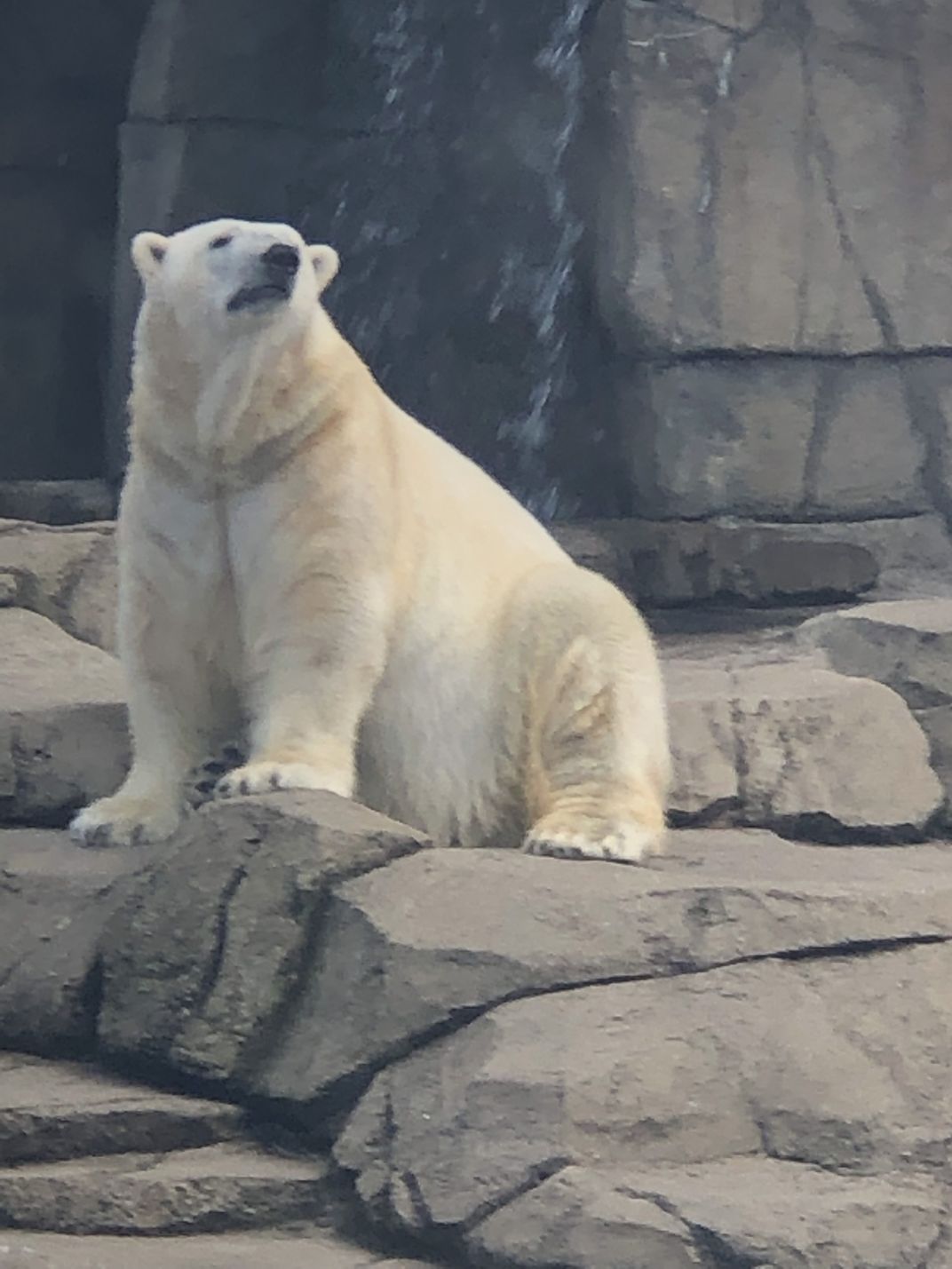 Visiting the Pittsburgh zoo Smithsonian Photo Contest Smithsonian