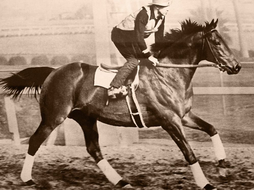 Seabiscuit