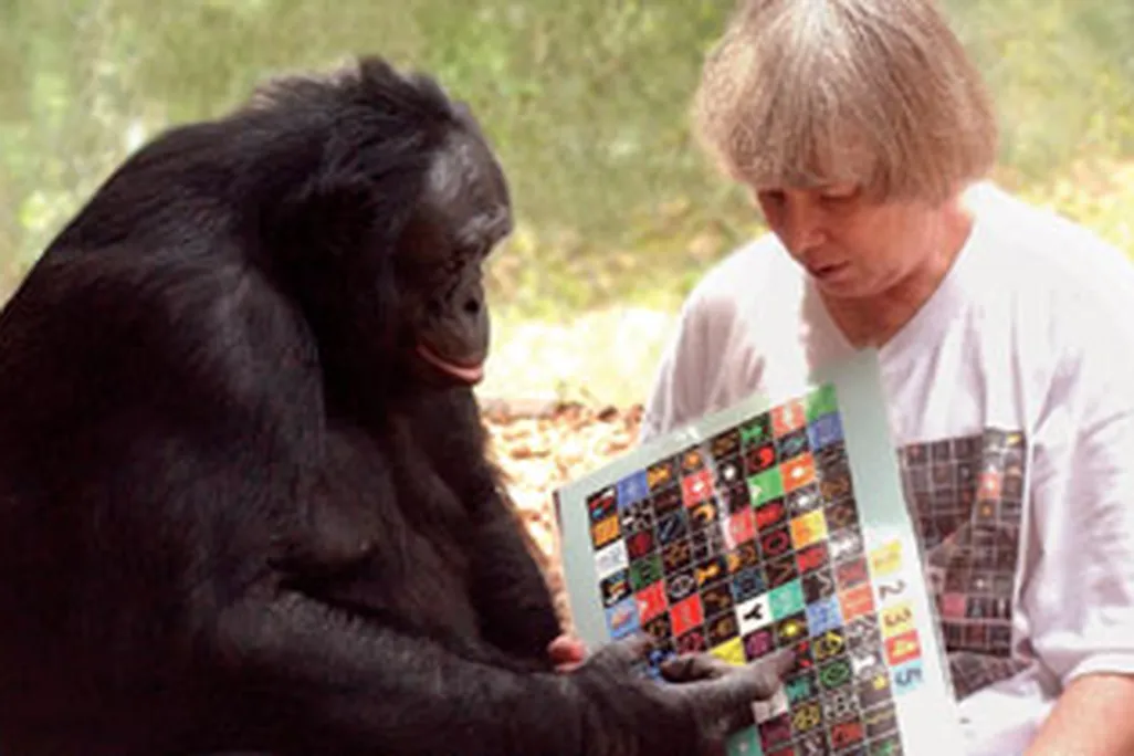 speakingbonobo388.jpg