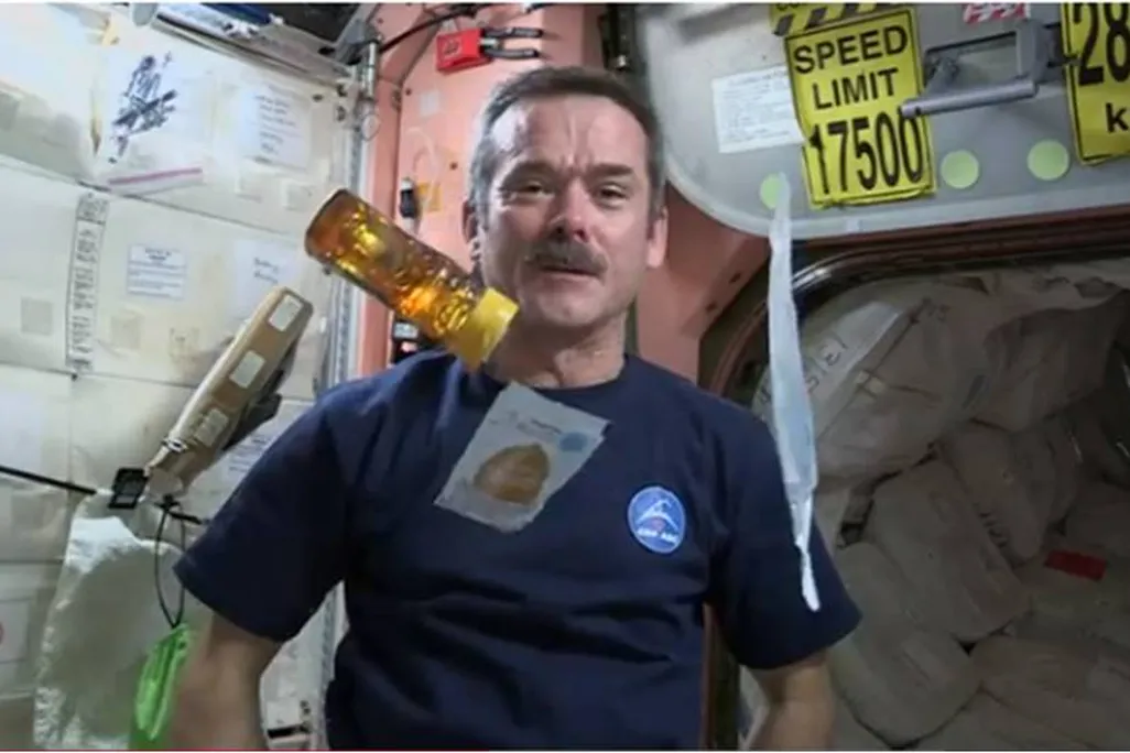 Sandwich-in-space.jpg
