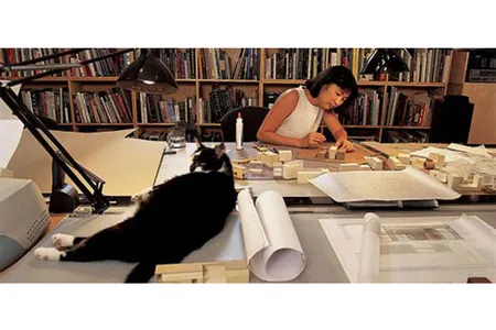 A New York residence designed by Lin is adaptable, "like origami or a transformer toy," says the architect in her studio with Ranch the cat.