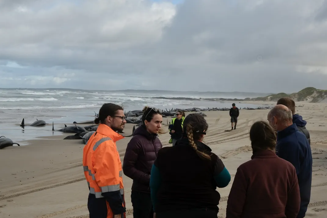 Officers and volunteers working near the stranded bond