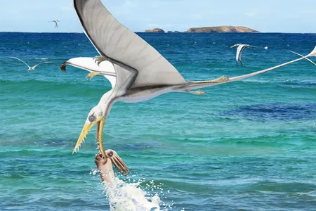 An artist's impression of a pterosaur trying and failing to snag a cephalopod from the ocean