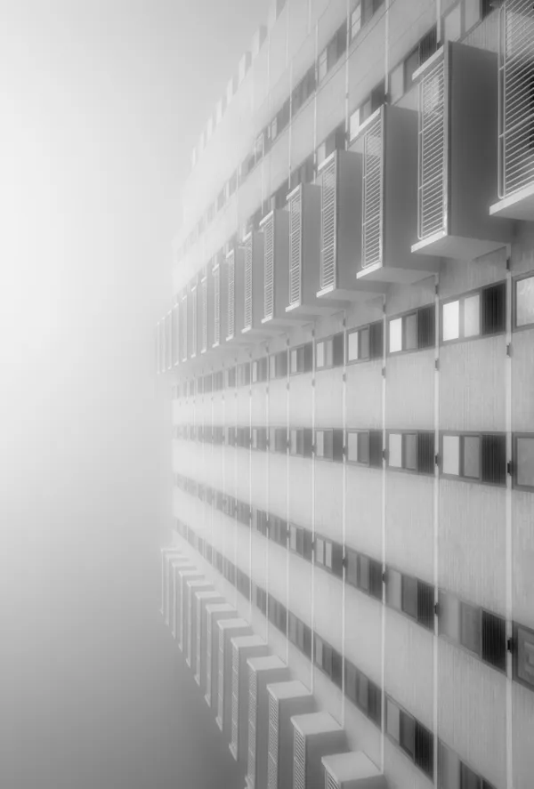 into the fog ... thumbnail