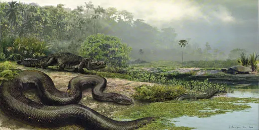 How Titanoboa, the 40-Foot-Long Snake, Was Found | Science | Smithsonian  Magazine