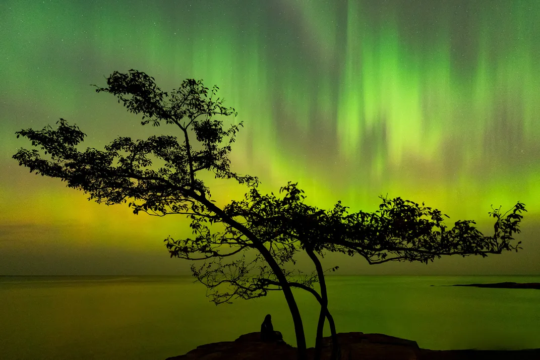 Green sky with a tree by a lake