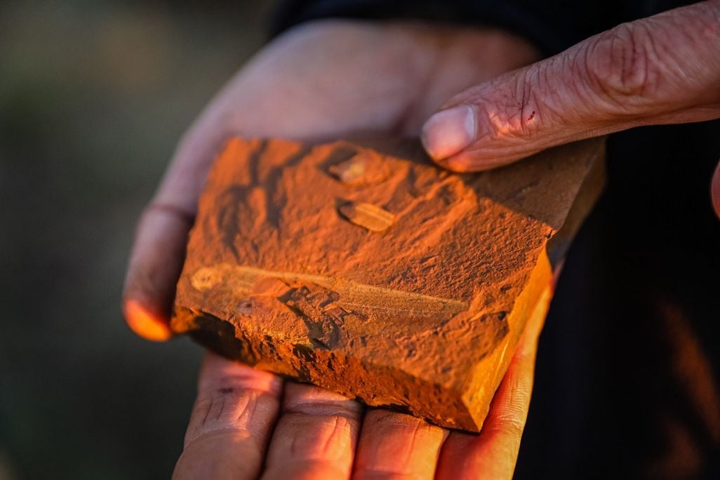 Reddish-rock with fossil in someone's hand