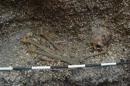 The shell mound erected above the woman's grave prevented acidic soil from destroying her remains