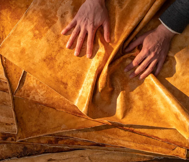 An image of human hands showcasing leather made from mushrooms