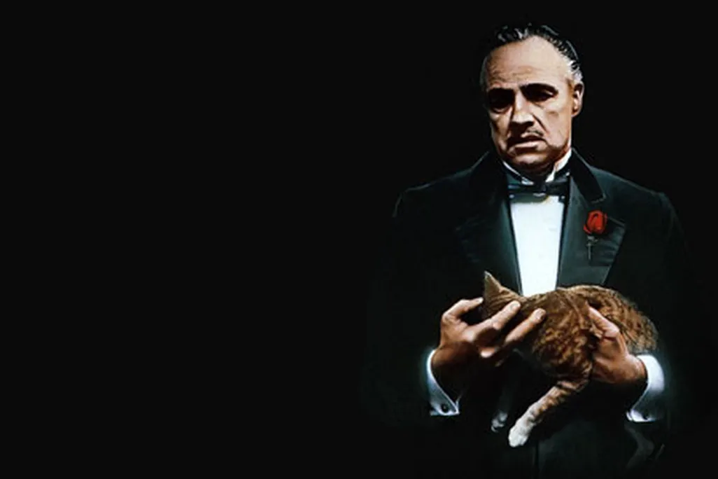 The Godfather Don Vito Corleone