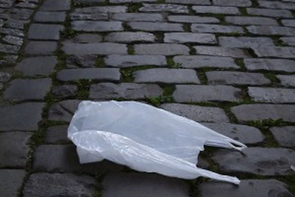 20110520102322plasticbag-300x300.jpg