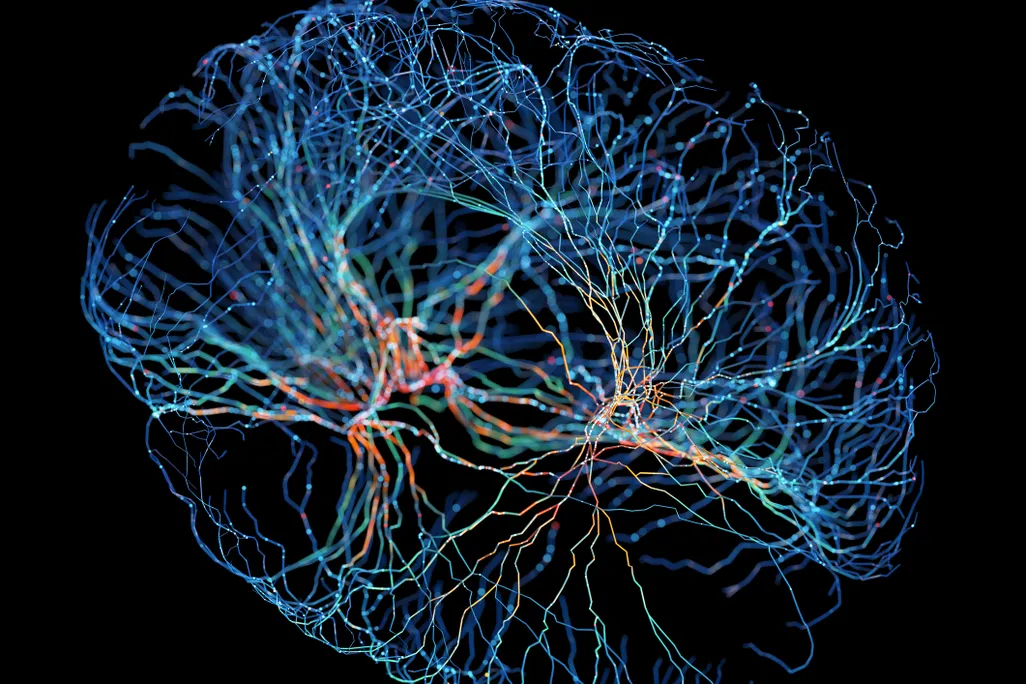 illustration of neural connections in brain