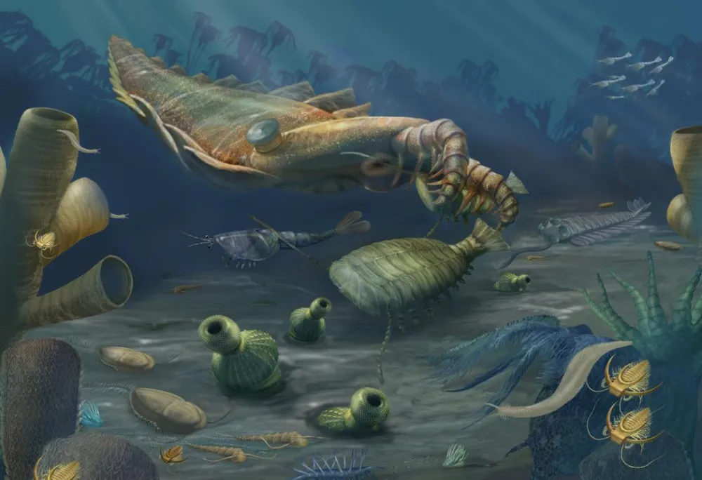 Cambrian