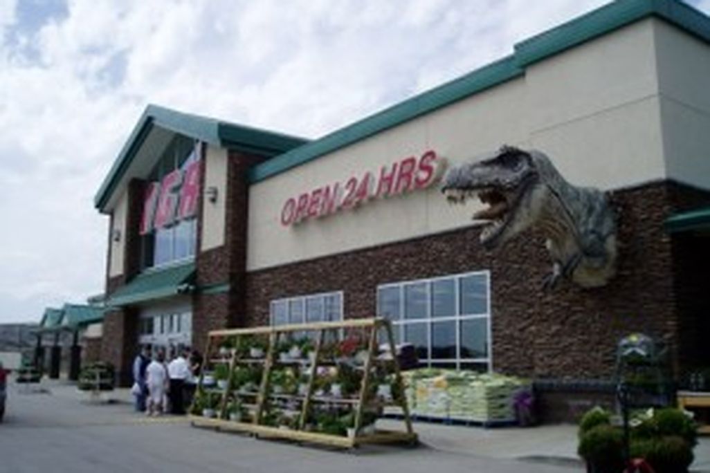 20110520083153calgary-tyrannosaurus-wall-300x225.jpg