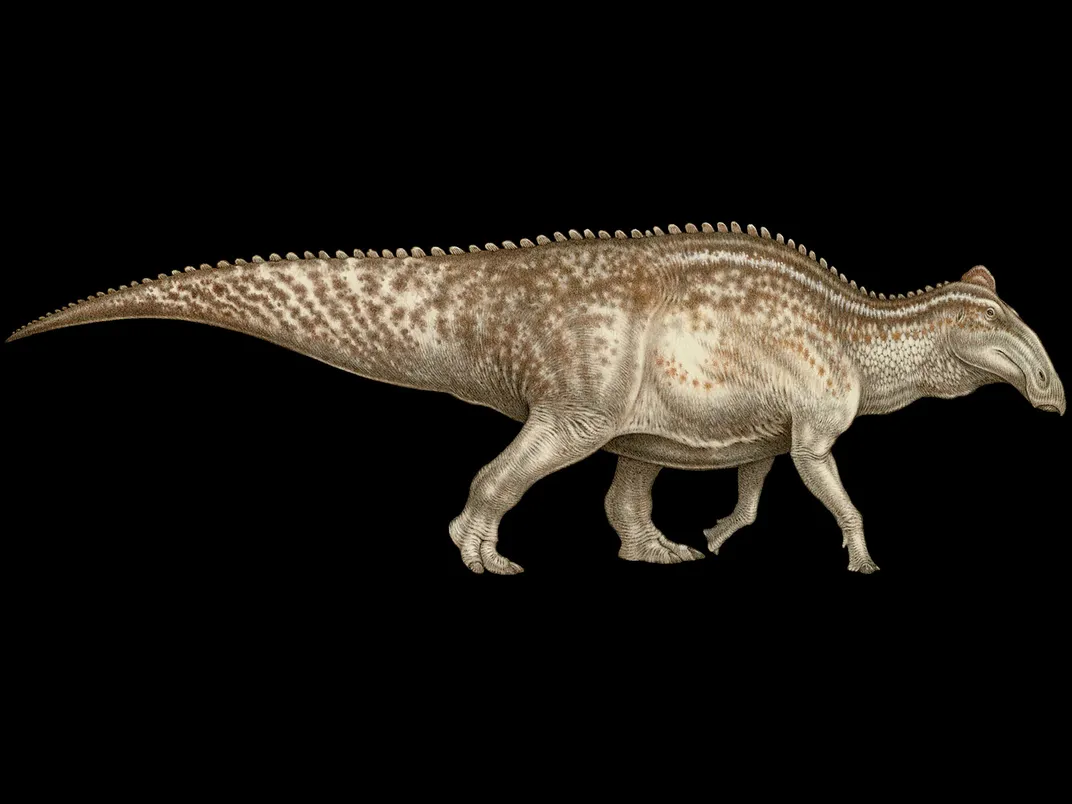 O Hadrossauro Dakota