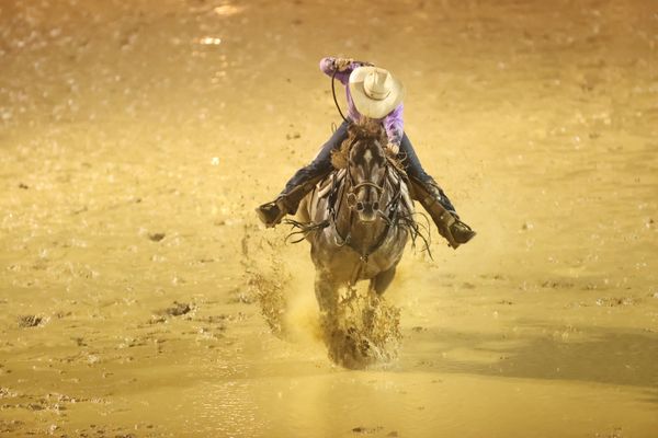 Rodeo Barrel Racer Run in the Mud thumbnail