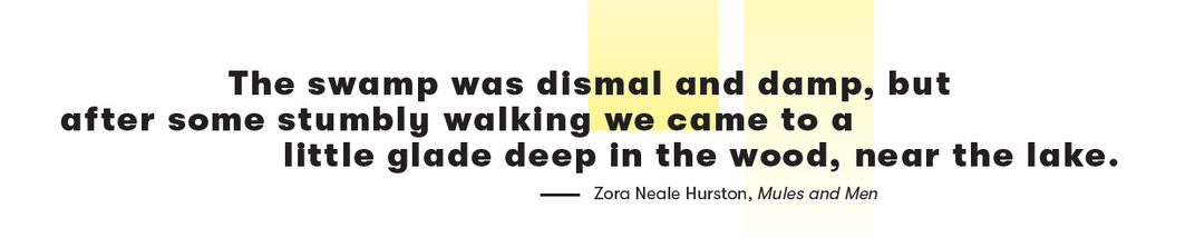 The swamp was dismal and damp, but after some stumbly walking we came to a little glade deep in the wood, near the lake. - Zora Neale Hurston, Mules and Men