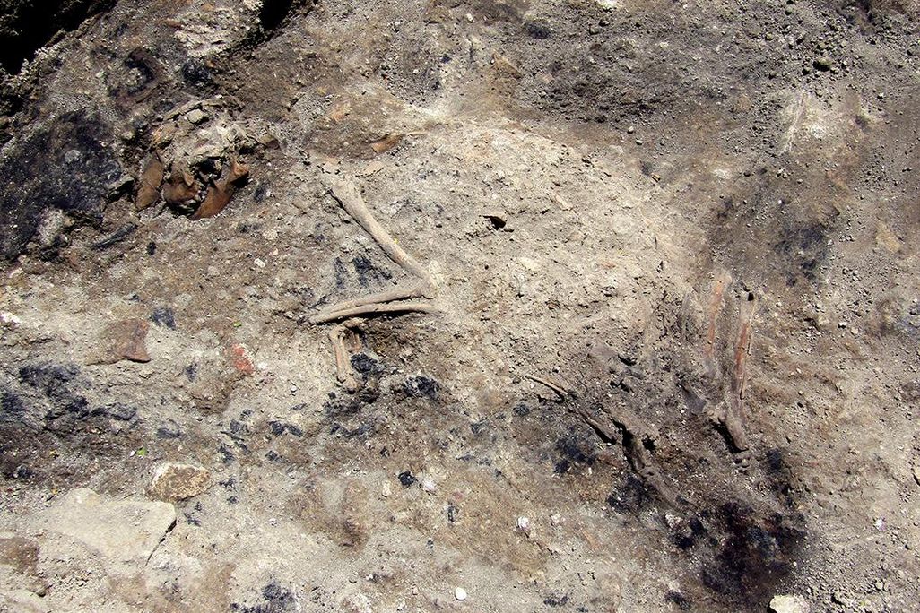AP_17177578700537.jpg