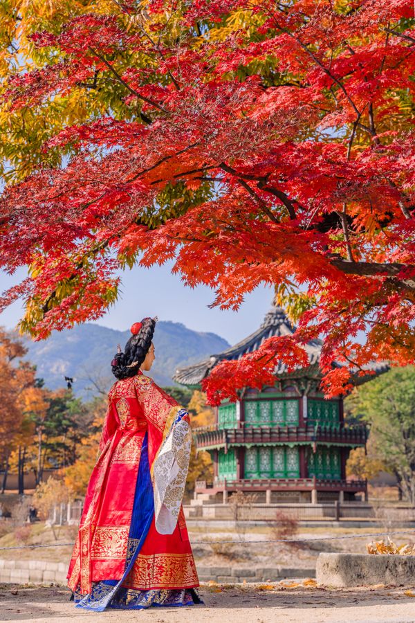 Hanbok shining through autumn leaves thumbnail