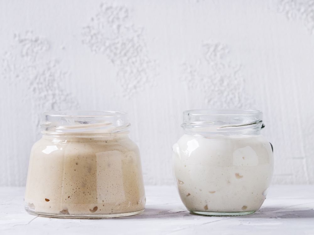 Rye and wheat sourdough starters