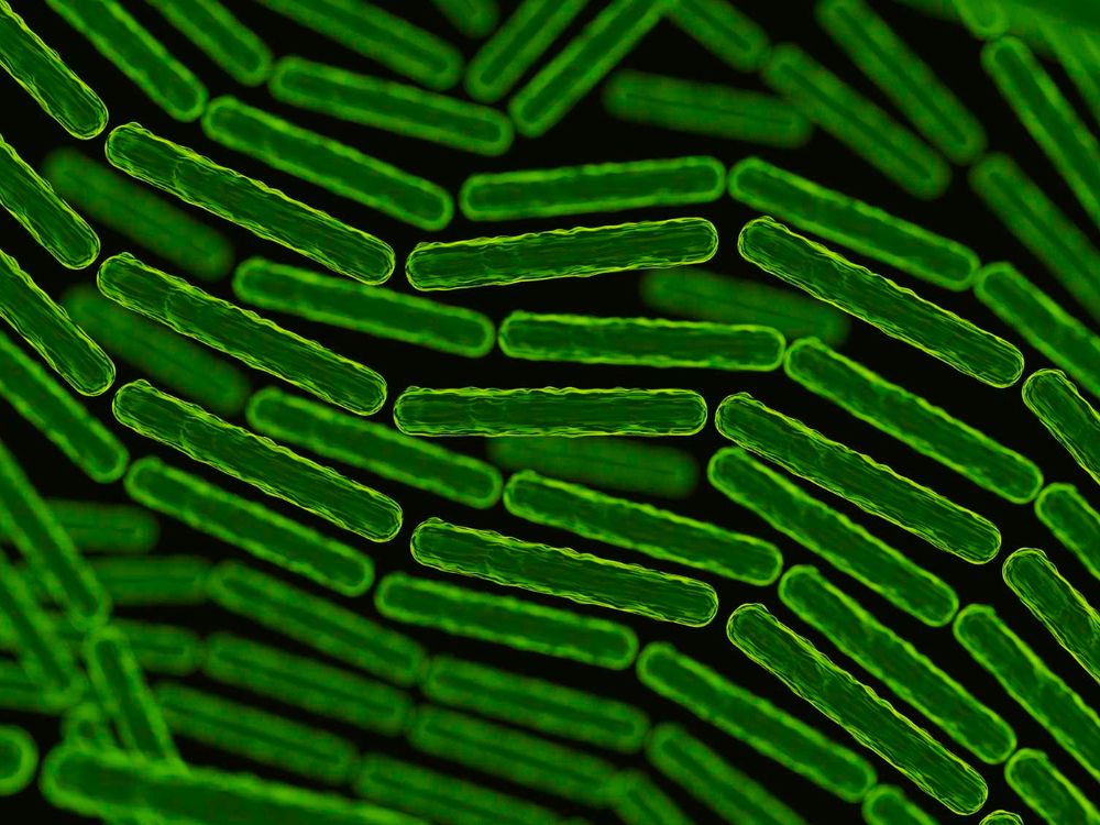 an artistic representation of green microorganisms